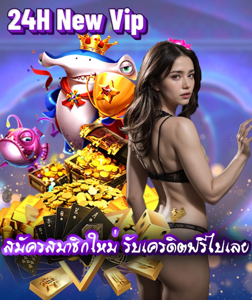 24h new vip ทางเข้า